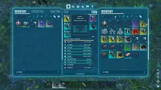 ASA: Defense against BOS