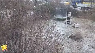 Einfach Wintermusik mit Schnee