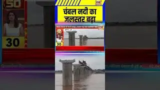 चंबल नदी का जलस्तर बढ़ा | Chambal River | #shorts