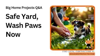 Pet-Safe Granules Paw Wash Wait Rule