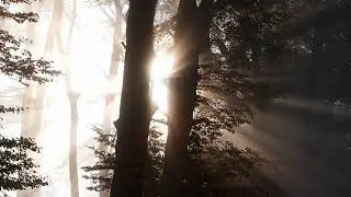 Drone Footage Nature Shots | No Copyright Drone Shots | Royalty free drone shots | stock videos