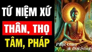 TỨ NIỆM XỨ & CON ĐƯỜNG QUÁN CHIẾU | PHẬT GIÁO