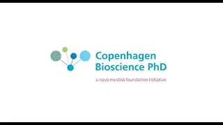 Why did you want to join the PhD Programme?