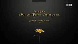 What if? Pushing Daises (TV Series) Ending Credits used Modern Logos