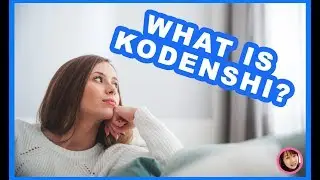 What is Kodenshi pants? 什么是 Kodenshi 裤子？