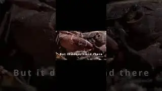 Ants in Action: Nature&rsquo;s Tiny Warriors!