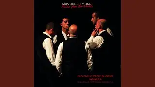 Gotzos de su nefressariu