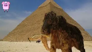 10 Mind Blowing Time Comparisons - SlappedHamTV