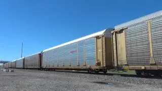 UP 8154 Leads the AEGLI - Rosenberg, TX