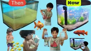 Then & Now #Fishtank#aquarium #shawn #Music by Oleg Fedak from Pixabay