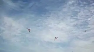 Stuntkites x 3
