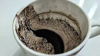 Лев ♌ Еженедельное гадание на кофейной гуще ☕ 15&ndash;21 декабря 2025 г.