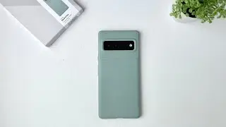 Caseology Vault Case Review | Pixel 6 Pro ( Sage Green)