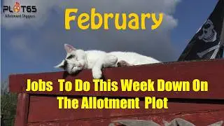 Jobs  To Do This Week Down On The Allotment  Plot