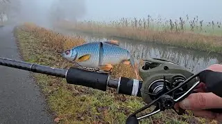 Baitcaster angeln auf Hecht bei Nebel #angeln #fishing 