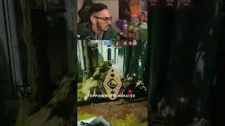 WORLD RECORD Kills For Main Ingredient in Destiny 2