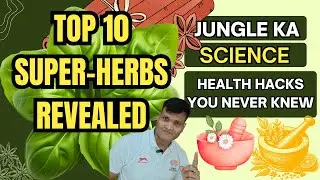 India&rsquo;s 10 Most Powerful Jungle Superherbs  | Giloy, Ashwagandha, Neem, Arjuna, Brahmi