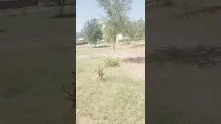 1 июля 2024 г.