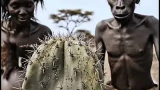 Life Million years ago | Human evolution | Man vs Wild Animals & Jungle Life. #humanevolution 