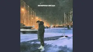 Полярная звезда