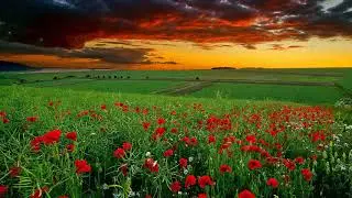 3 Best Inspirational Quotes - H. Stanley Judd