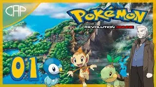 The Adventure Begins - Sinnoh #01 [ Pokemon Revolution Online ]