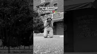 Saying Goodbye to Muppets Courtyard 💔🐸