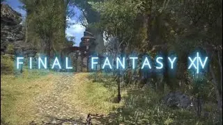 Final Fantasy XIV: A Realm Reborn - The Gridanian Envoy.