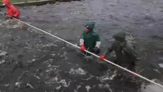 A Watershed Moment: A look at Wisconsin's salmon stocking program for Lake Michigan