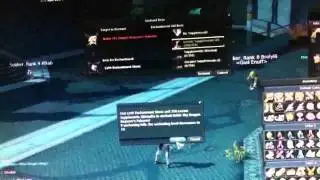 Aion enchanting +15 Eternal Balic Spear lvl 55