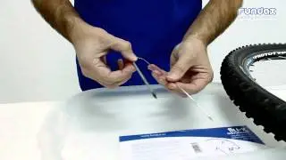 Test Flu-X Advanced