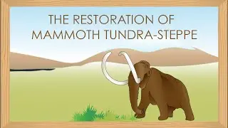 The Restoration of Mammoth Tundra-Steppe