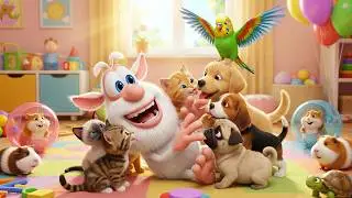 Booba - Pets Gone Wild - Cartoon for kids