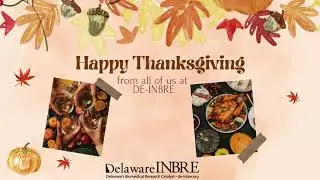 Happy Thanksgiving from DE-INBRE-2024