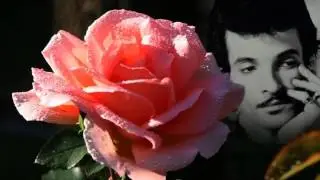 Mink DeVille Around The Corner From The Album Where Angels Fear to Tread  1983