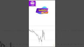 Strategie Liquidator pro. INDEX DAX