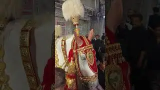 Zuljana 😭 | Nadeem Sarwar | #shorts #imamhussain #zuljanah #muharram
