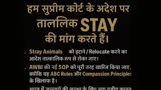 Remember this day 13 dec 👀 !And save the street dogs 🐕so please share one story in our street dogs🙏