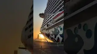 MSC EURIBIA CRUISE SHIP ⚓🚢