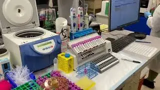 Cost Infrastructure for UHealth Transplant Labs