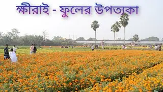 Flower Valley of West Bengal । The Valley of Flowers । Khirai Flower Valley । Valley of Flower W. B.