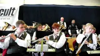 Feuerwehrfest (4) - Hof am Leithaberge /Austria/