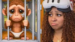 Protecting the Baby Monkey 🐒