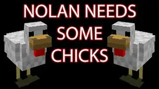 Nolan's Chicken Prank