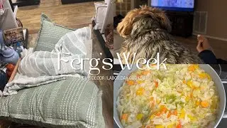 Ferg's Week | Home Decor, Labor Day Cookout