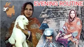 Village Evening Routine | Sorry for late | Rubina Vlogs❤️