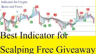Best indicator for intraday trading.Best indicator for day trading.Best indicator for crypto trading