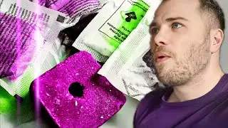 ☠️Mort au rat : La couleur a-t-elle une importance ?