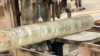 Discover the Art of Mastering Sawing Techniques Like a Professional Woodworker!