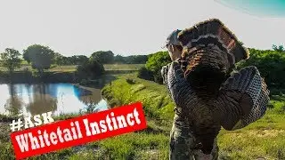 Turkey Hunting, Scent Control, And Early vs Late Season: Ask Whitetail Instinct